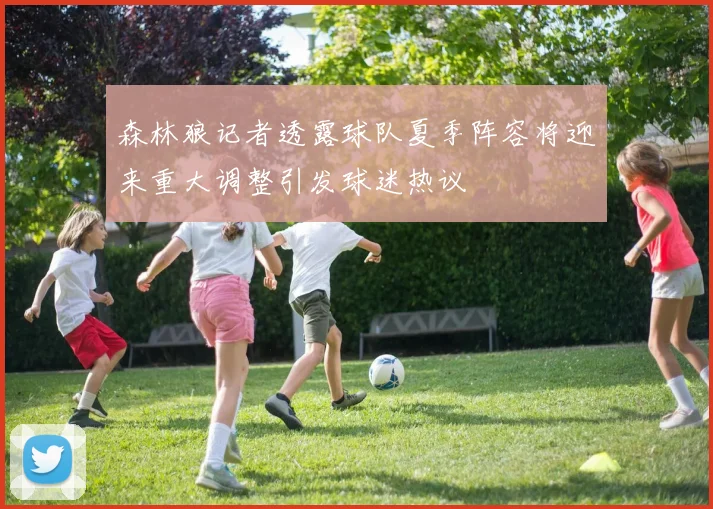 森林狼记者透露球队夏季阵容将迎来重大调整引发球迷热议